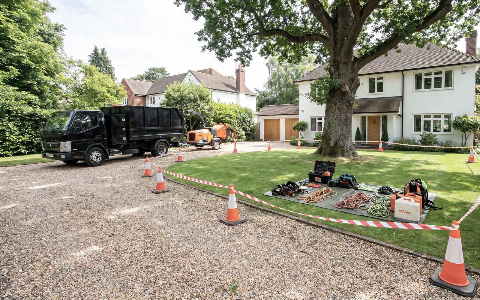 S&J Tree Surgery Work