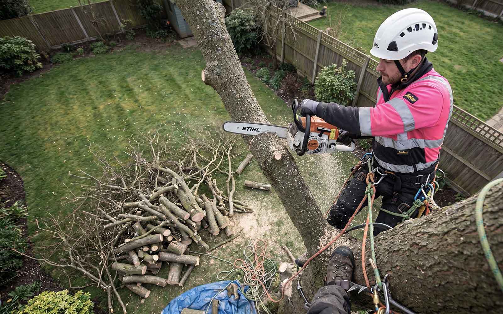 S&J Tree Surgery Work