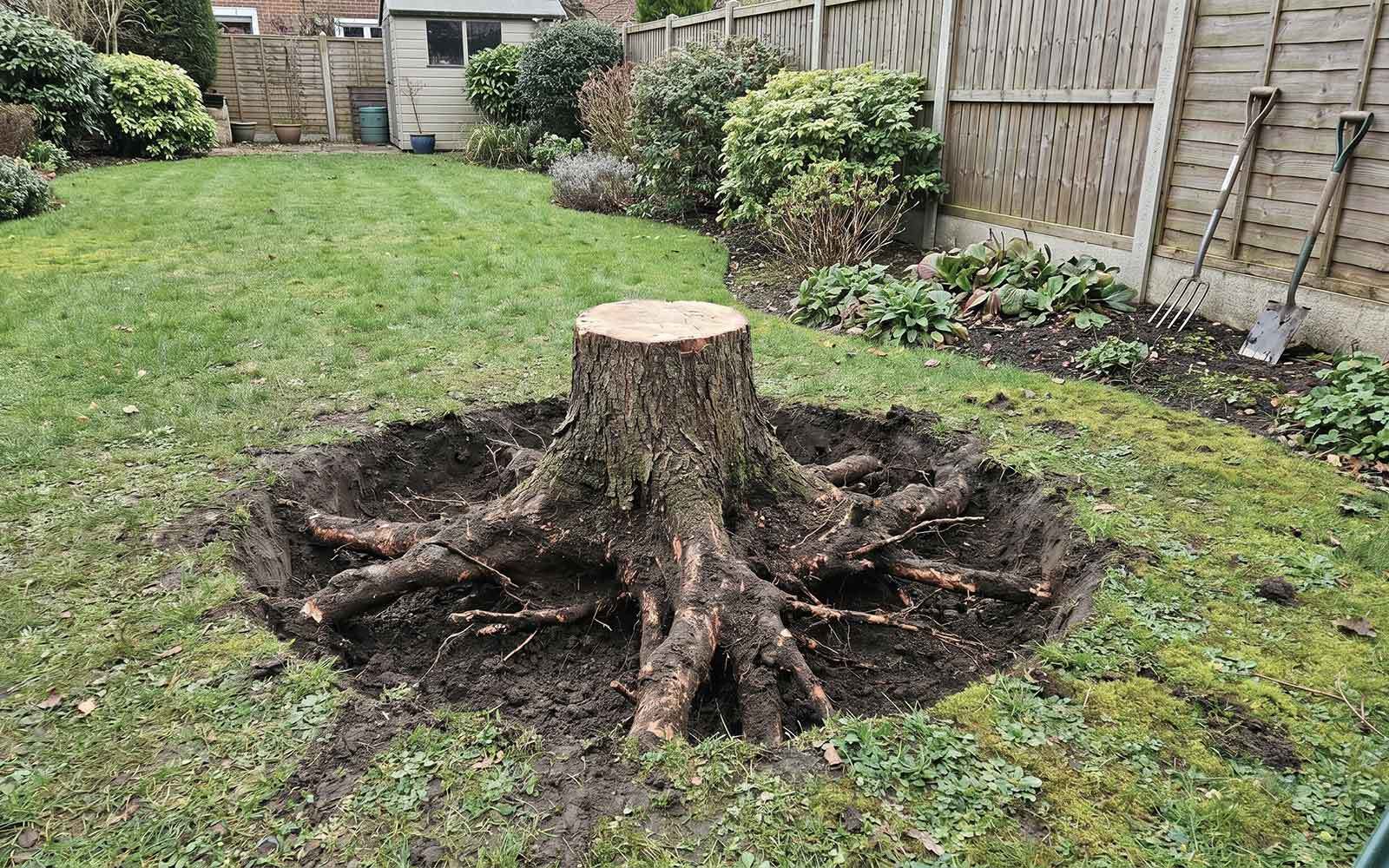 S&J Tree Surgery Work